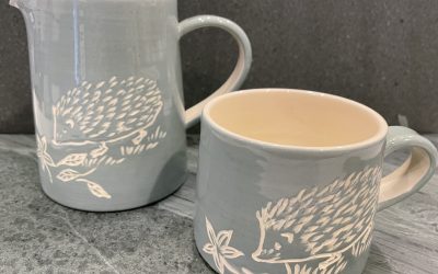 Hedgehogs and more…