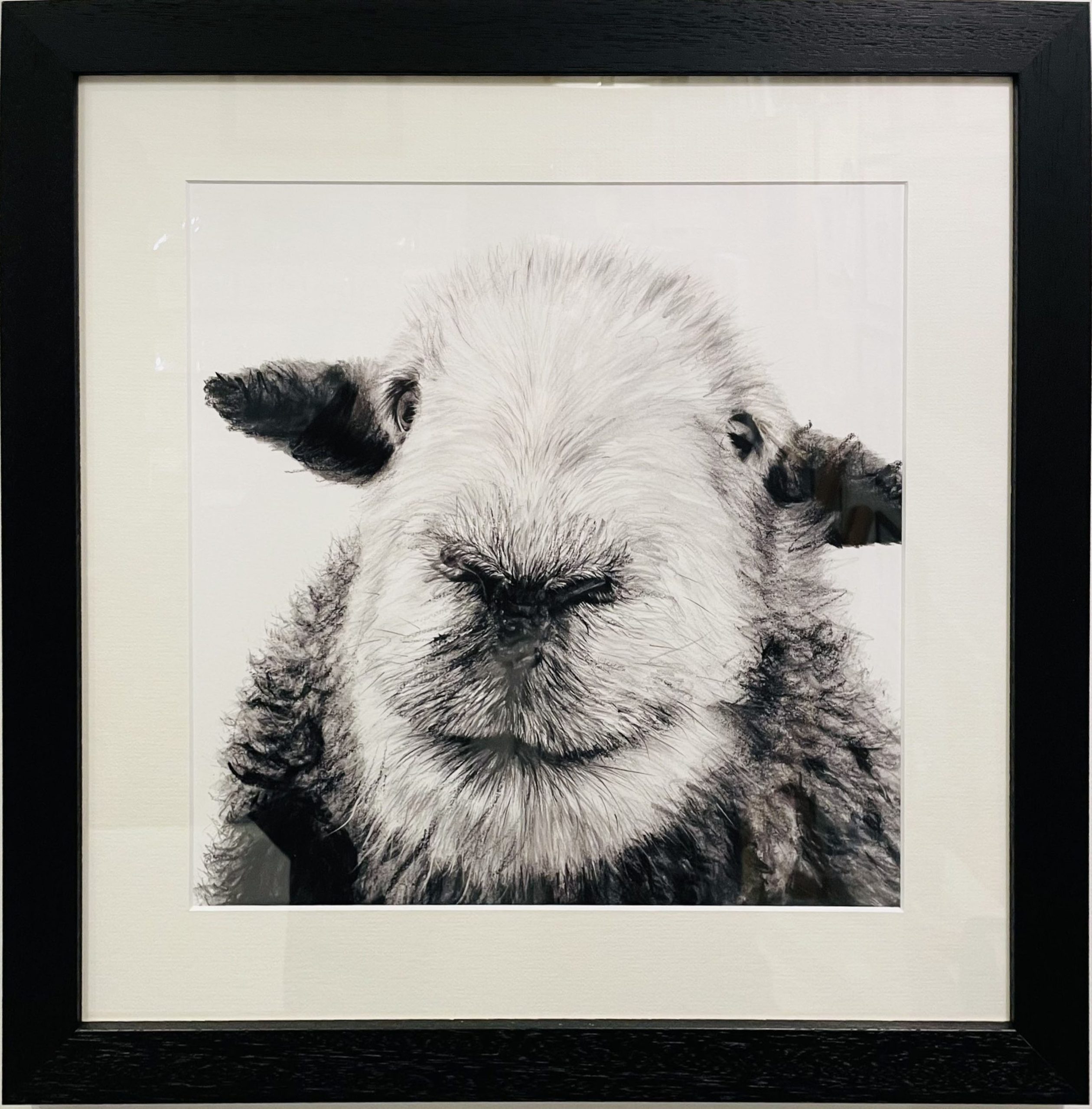 'Aries', Framed, Signed Limited Edition Print, Available in Two Sizes