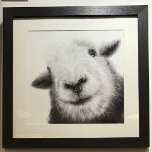 'Dorothy', Framed, Signed Limited Edition Print, Available in Two Sizes