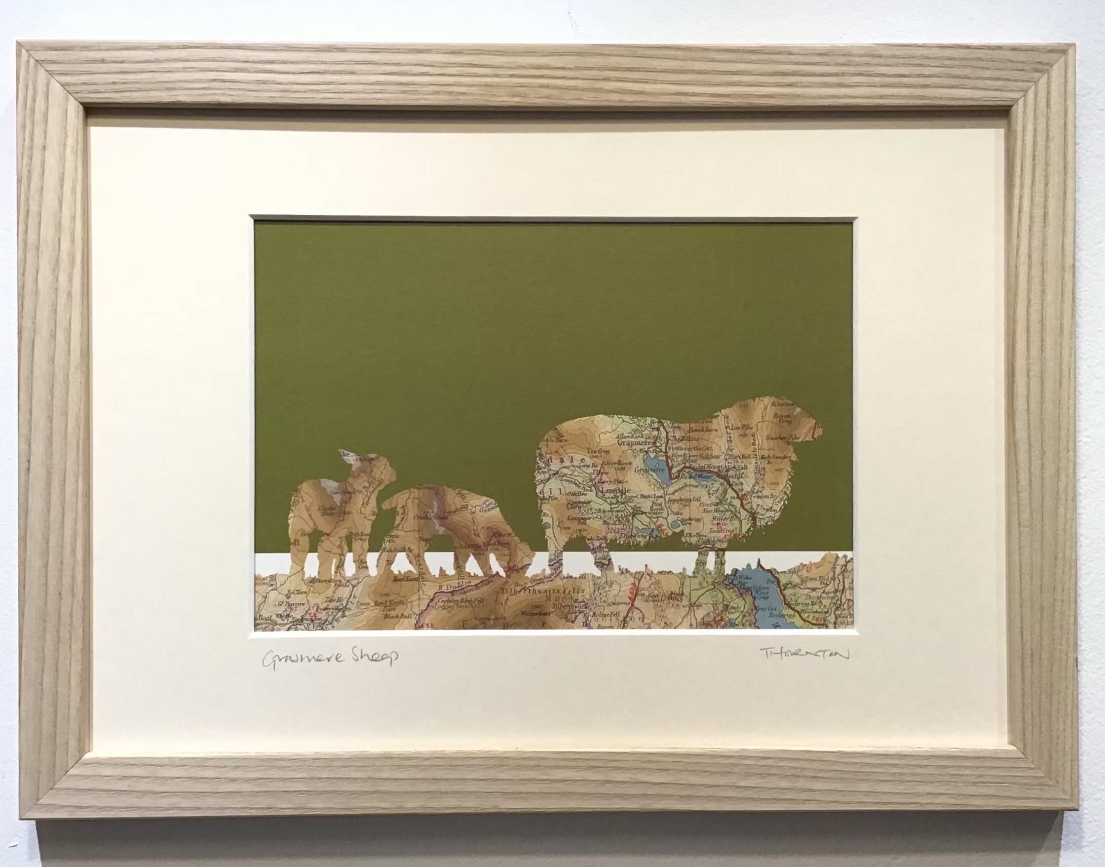 Framed Print of a Grasmere Map Through an Image of Sheep and Lambs, Green Background