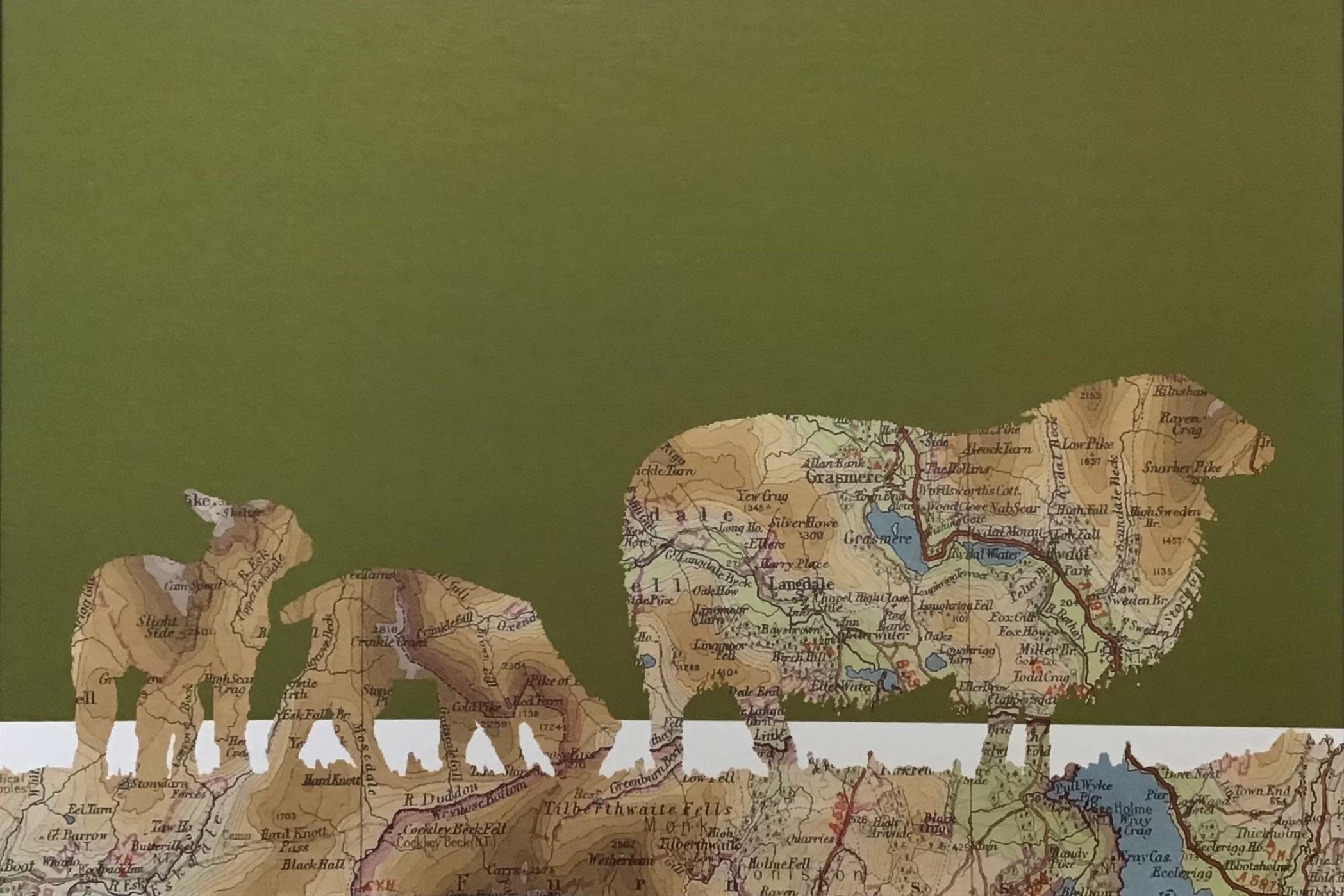 Framed Print of a Grasmere Map Through an Image of Sheep and Lambs, Green Background - Image 2