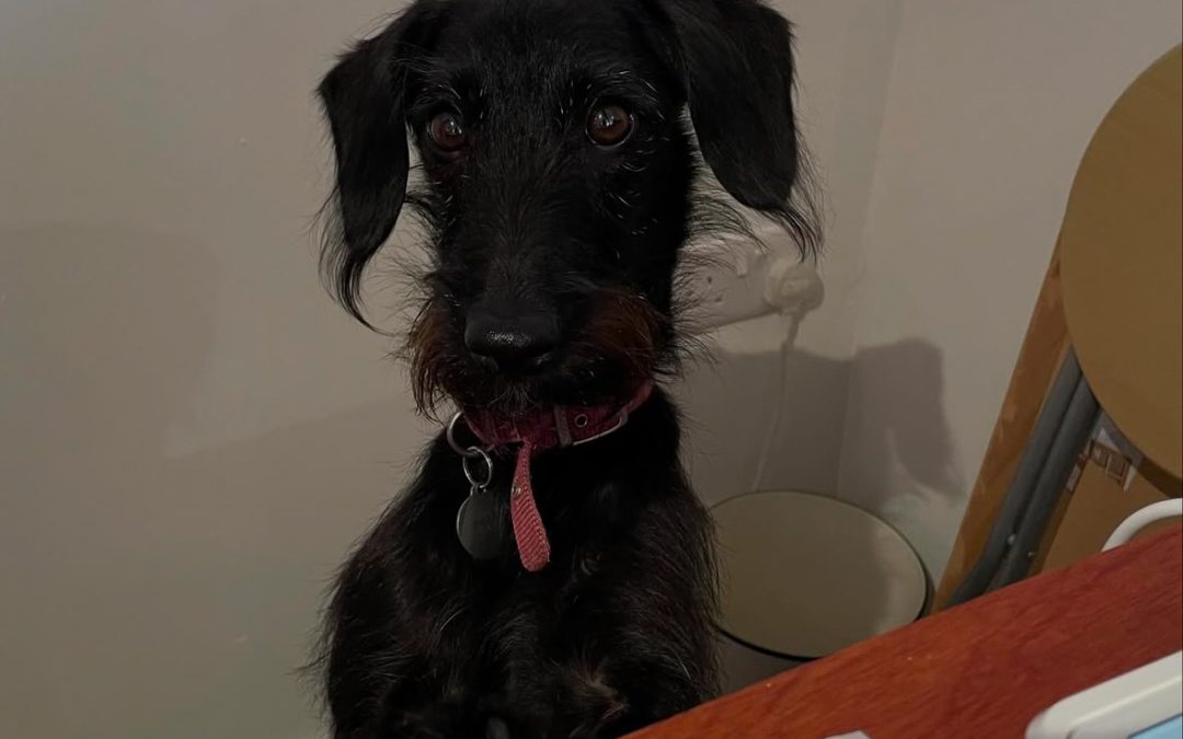 Can I help you?