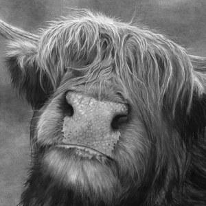 'Arabella', Signed Open Edition Print Available in Two Sizes