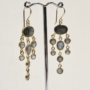Jellyfish Labradorite Drop Earrings