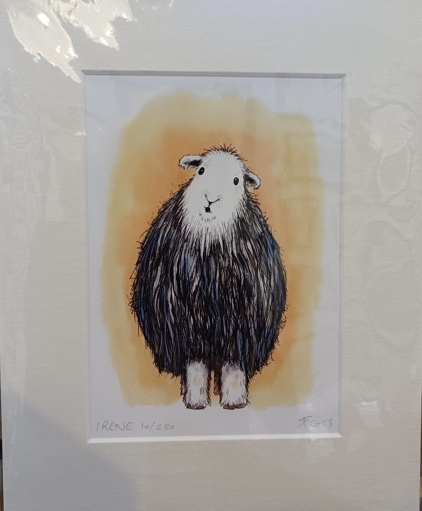 Herdwick Sheep Illustration, Orange Background, Limited Edition Print
