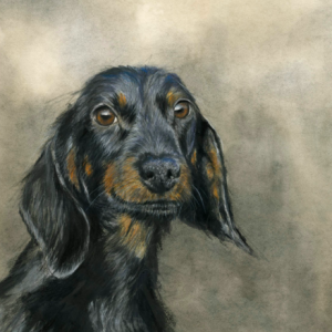 'Milo', Signed Open Edition Print Available in Two Sizes