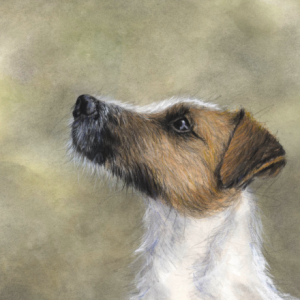 'Archie', Signed Open Edition Print Available in Two Sizes
