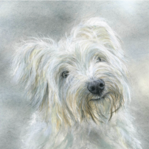 'Maisy', Signed Open Edition Print Available in Two Sizes