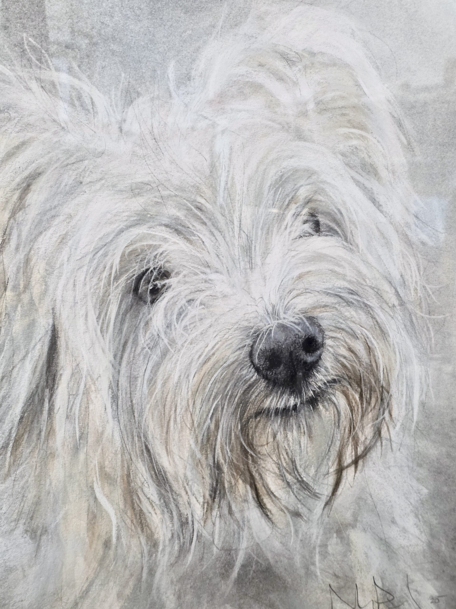 West Highland Terrier, Original Dog portrait by David Pooley - Image 3