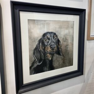 Dachshund, Original Dog portrait by David Pooley