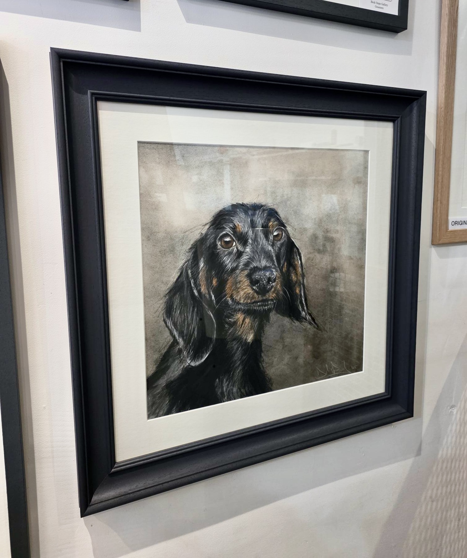 Dachshund, Original Dog portrait by David Pooley