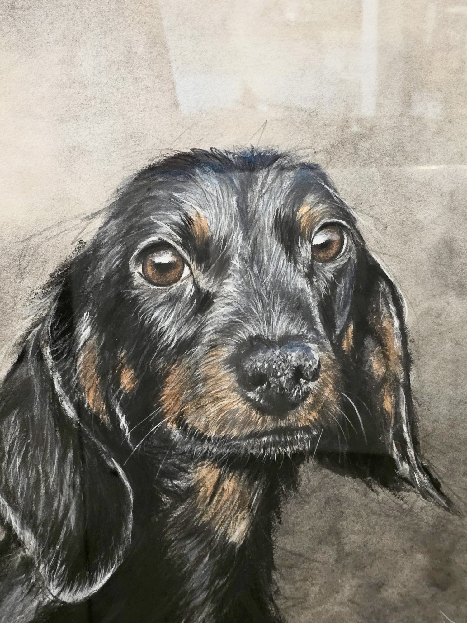 Dachshund, Original Dog portrait by David Pooley - Image 3