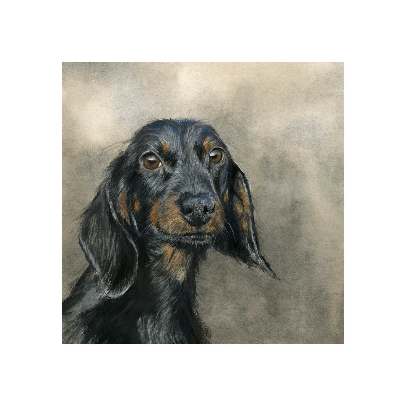 Dachshund, Original Dog portrait by David Pooley - Image 2