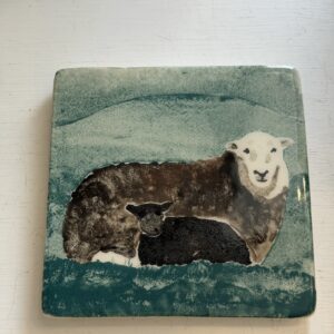 Herdwick Sheep with Lamb Sitting Teal Coaster