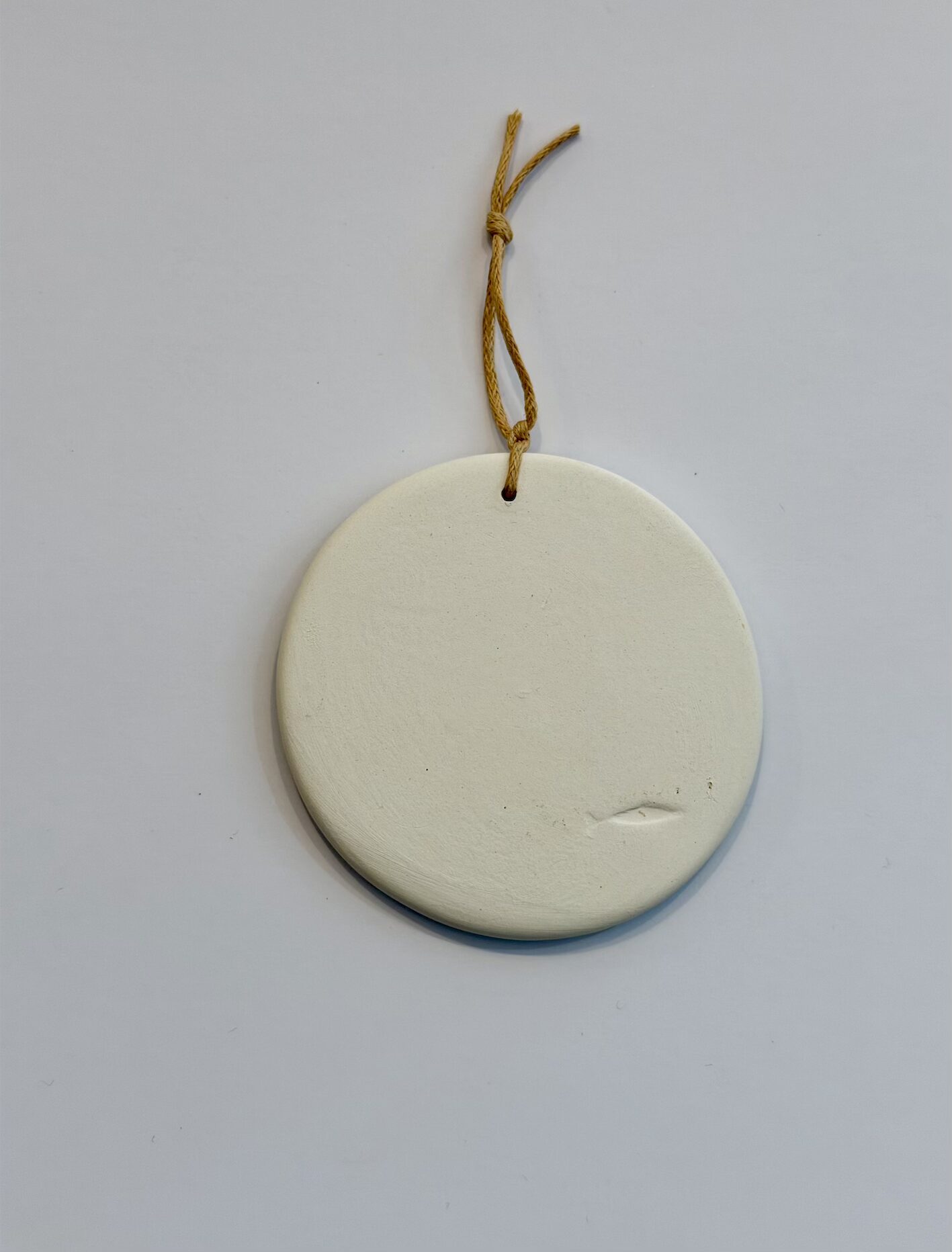 Ceramic Hanging Decoration of Curlew on Teal Patterned Background - Image 2